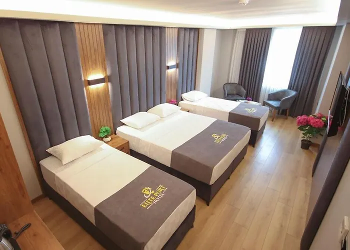 Hotel And Free Shuttle Istambul